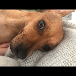 Meet your Posher, Matt